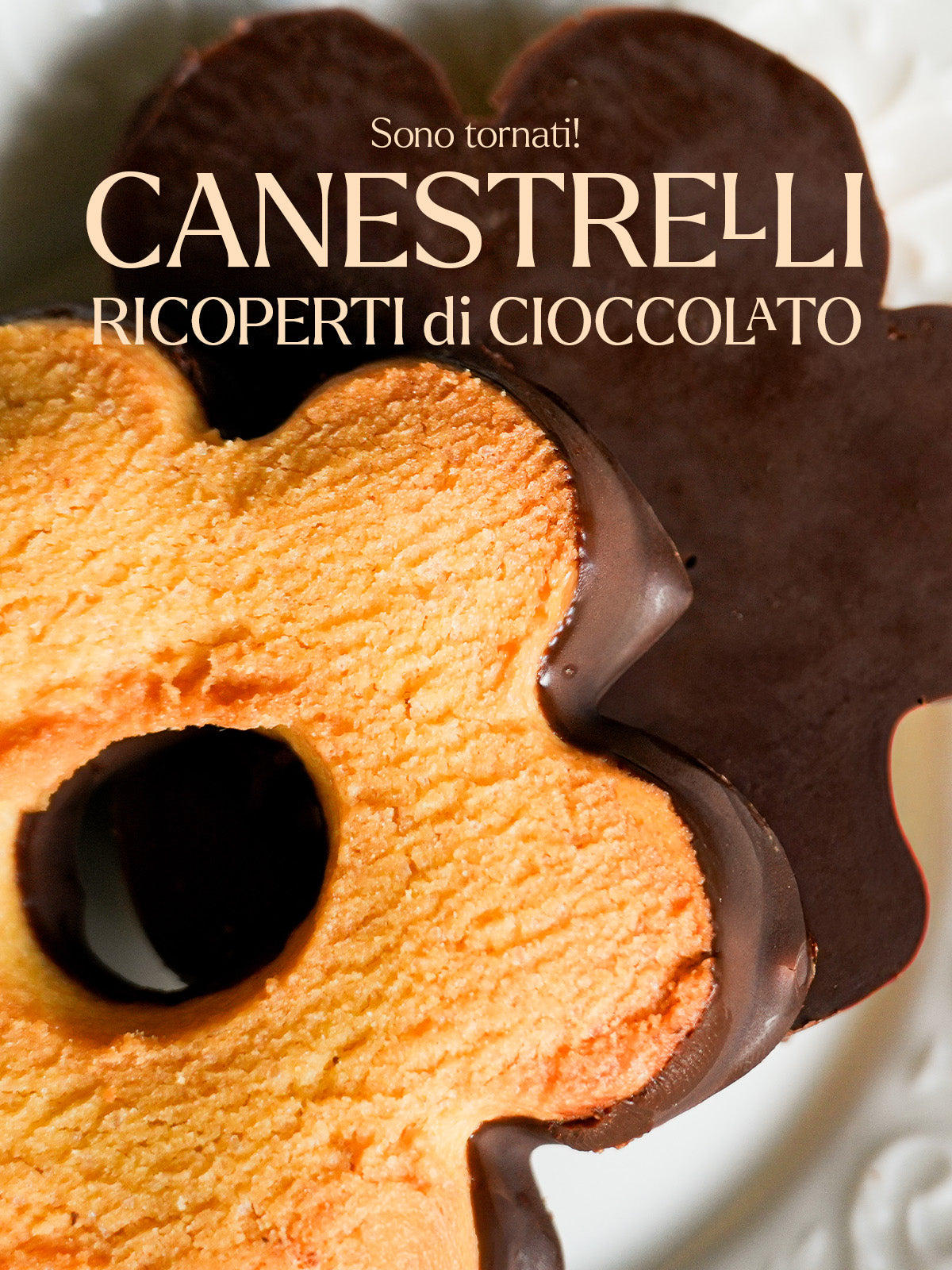 Immagine diapositiva