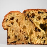 CIOCCOLATO e RUM - colomba