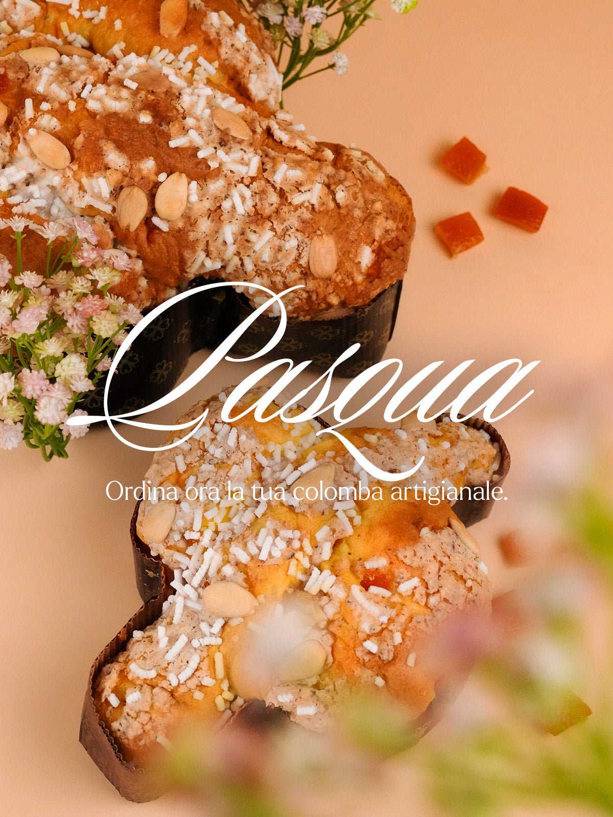 Immagine diapositiva