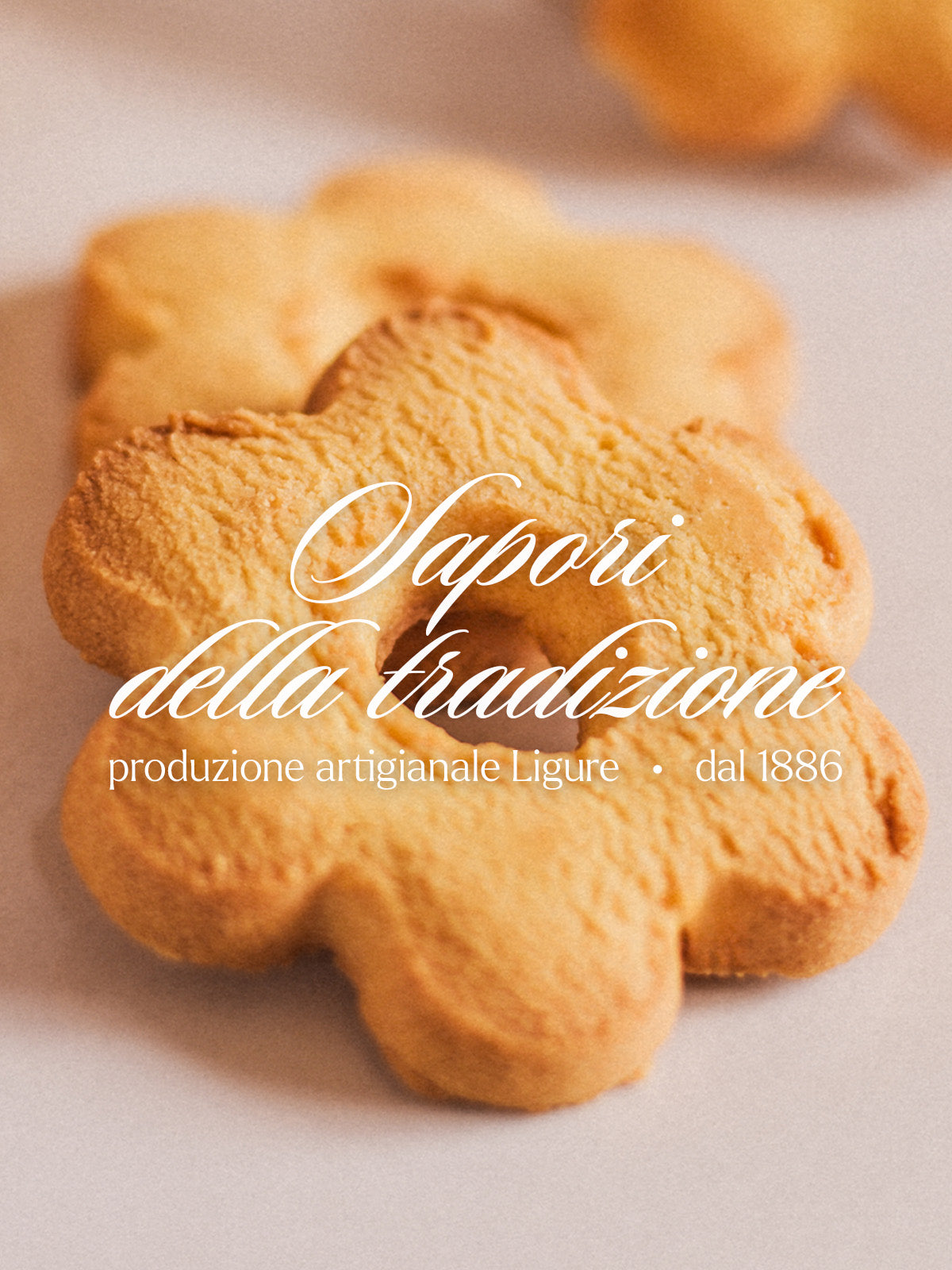 Immagine diapositiva